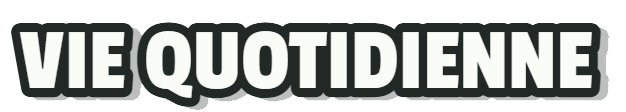 Vie Quotidienne Store