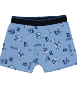 Boxer - Bleu<Zeeman