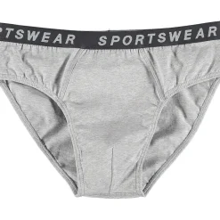 Slip - Gris<Zeeman Sale