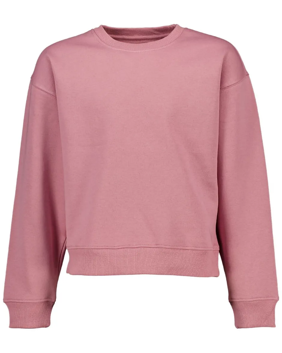 Sweat - Violet<Zeeman Outlet