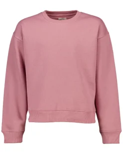 Sweat - Violet<Zeeman Hot