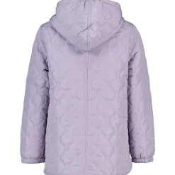 Veste/gilet - Violet<Zeeman Outlet
